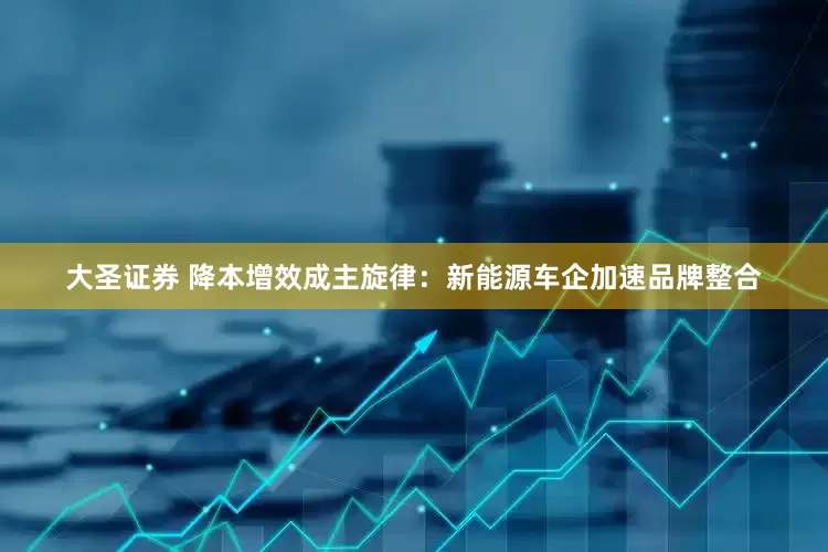 大圣证券 降本增效成主旋律：新能源车企加速品牌整合