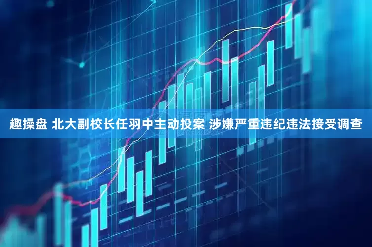 趣操盘 北大副校长任羽中主动投案 涉嫌严重违纪违法接受调查