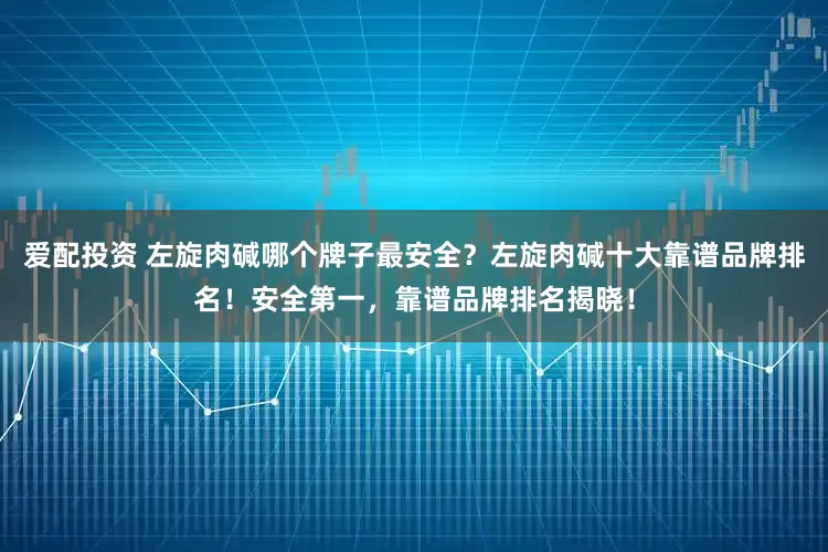 爱配投资 左旋肉碱哪个牌子最安全？左旋肉碱十大靠谱品牌排名！安全第一，靠谱品牌排名揭晓！