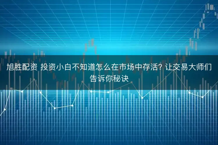 旭胜配资 投资小白不知道怎么在市场中存活? 让交易大师们告诉你秘诀